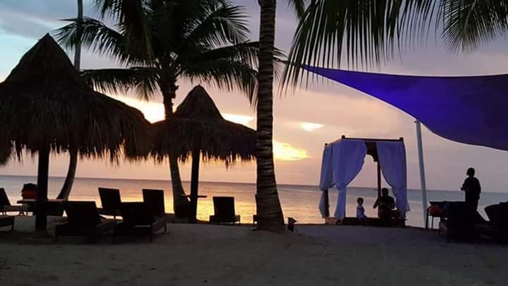 آپارتمان 1 خوابه, Titty S Paradise