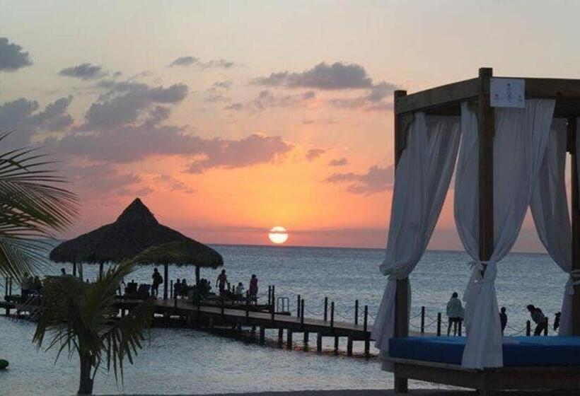 آپارتمان 1 خوابه, Titty S Paradise