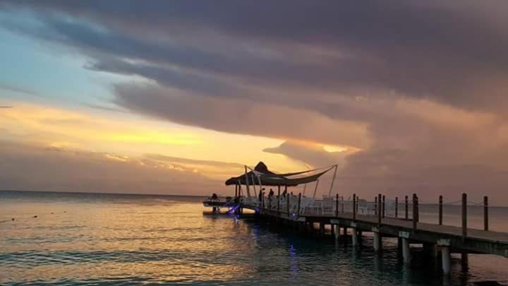 آپارتمان 1 خوابه, Titty S Paradise