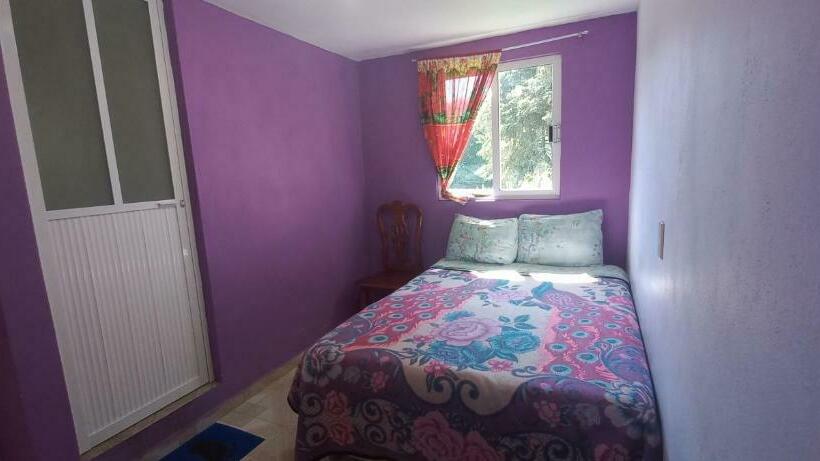 غرفة عائلية, Bosques