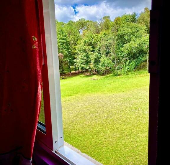 غرفة عائلية, Bosques