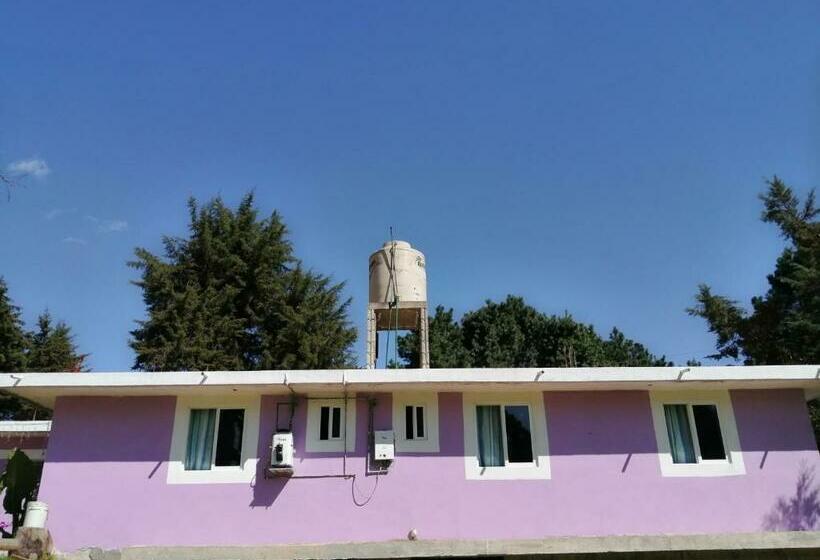 غرفة عائلية, Bosques