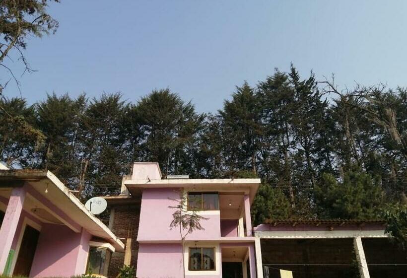 غرفة قياسية, Bosques