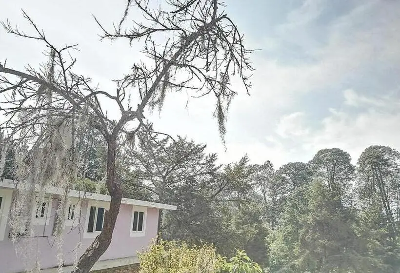 スーペリアファミリールーム, Bosques