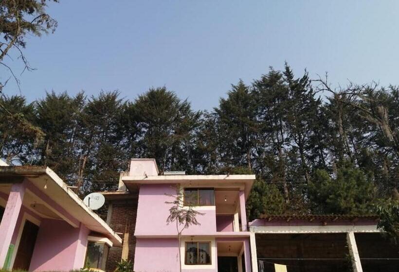 غرفة سوبيريور عائلية, Bosques