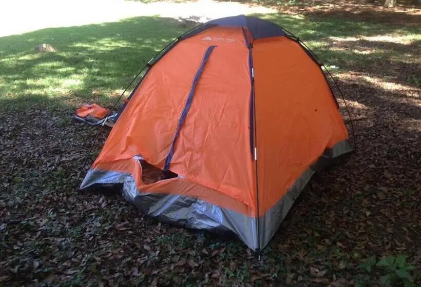 Standard Tent, Bosques