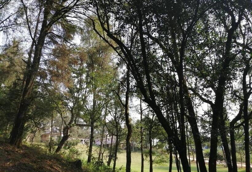 كوخ قياسي, Bosques