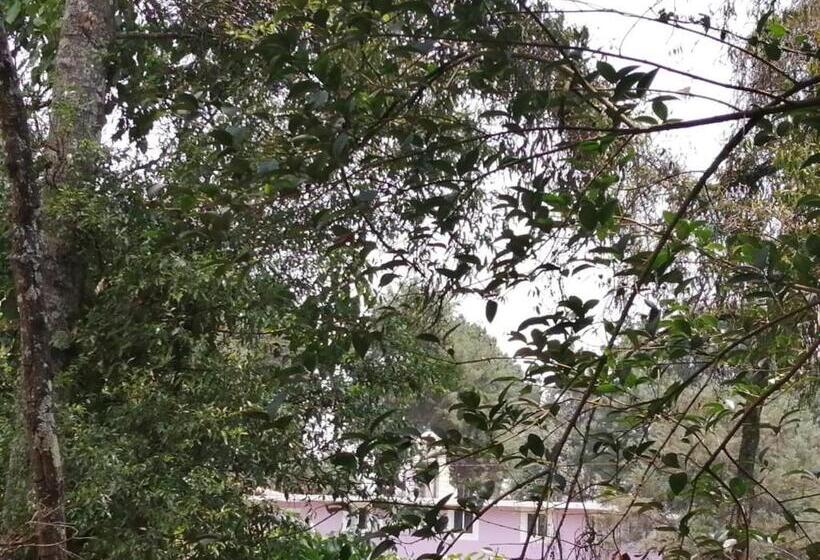 كوخ قياسي, Bosques