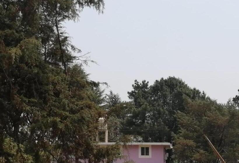 كوخ قياسي, Bosques