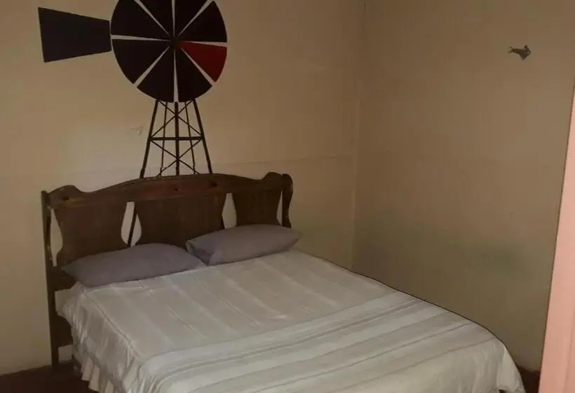 Deluxe-huone, Paljas Backpackers