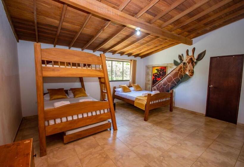 اتاق خانوادگی, San Sebastian Del Tonusco