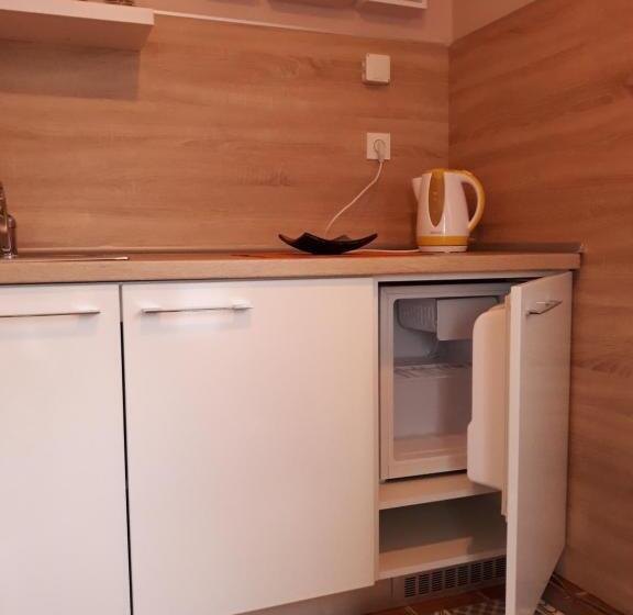 استودیوی استاندارد, Apartmani Rale Rooms