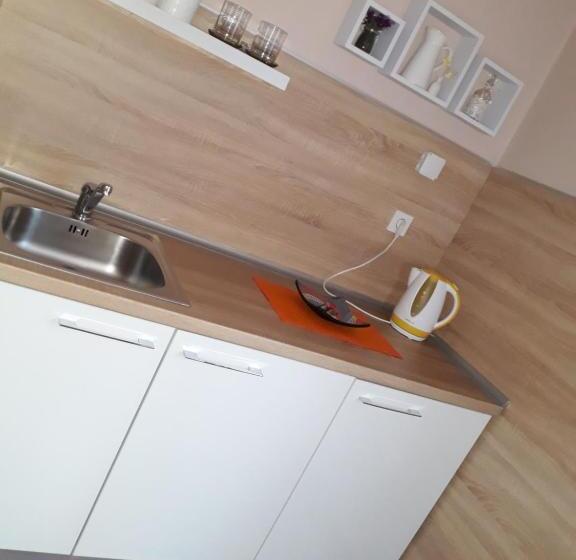 استودیوی استاندارد, Apartmani Rale Rooms