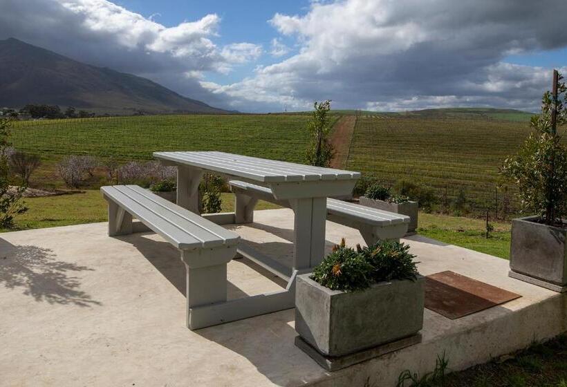 חדר סטנדרט, Arcangeli Wines