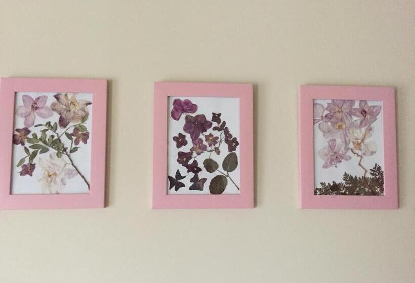 شقة غرفة واحدة, Casa Florea