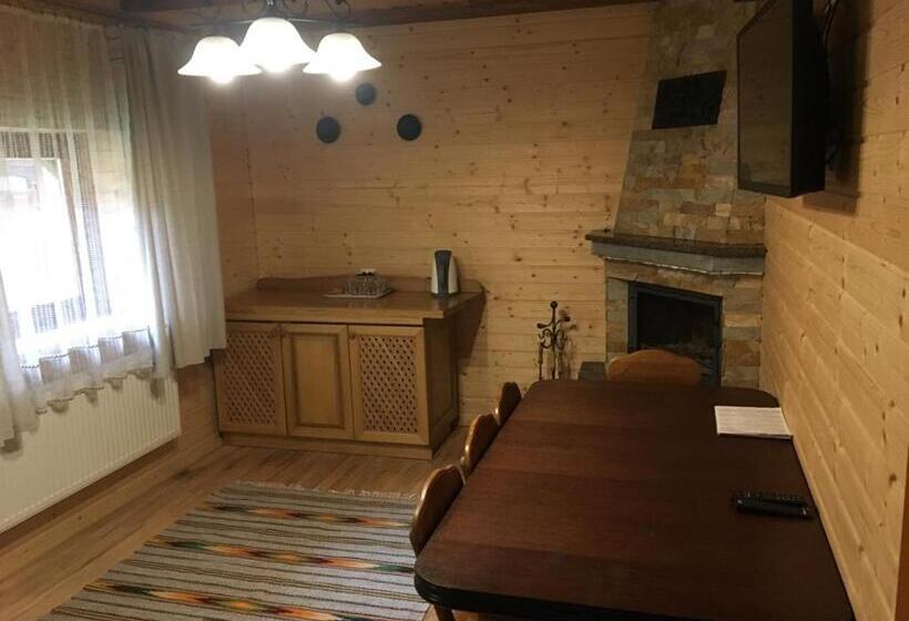 سوییت با چشم‌انداز کوه, Guesthouse Kolo Druziv