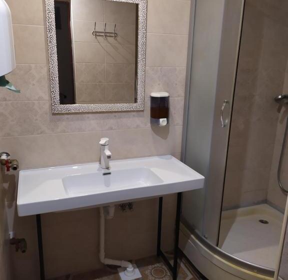 اتاق استاندارد با سرویس بهداشتی مشترک, Mini Hotel Na Gasheka