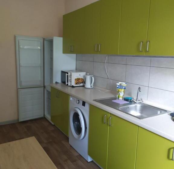 اتاق استاندارد سه تخته با سرویس بهداشتی مشترک, Mini Hotel Na Gasheka