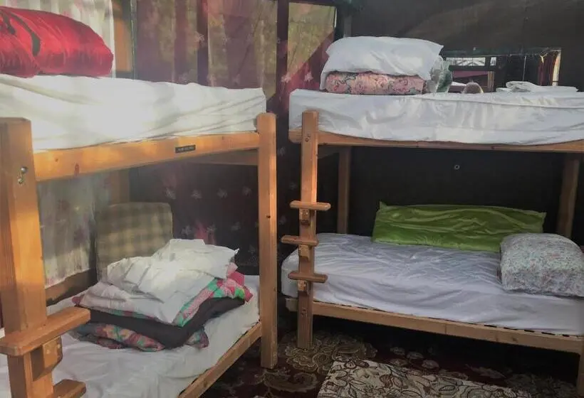 ルームシェアのワンベッド, Billie's Backpackers Hostel