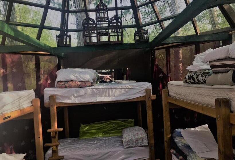 Pat in Cameră Comună, Billie's Backpackers Hostel