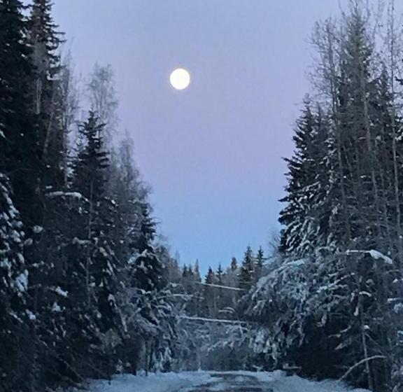 Pat in Cameră Comună, Billie's Backpackers Hostel