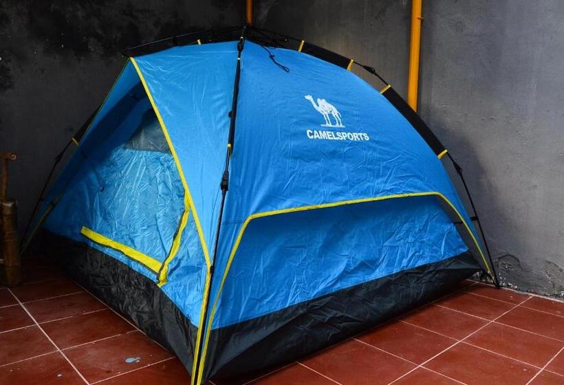 Standard Tent, No. 6 Cuobian Hostel