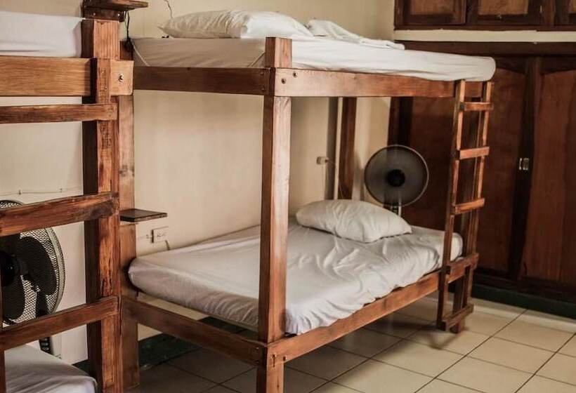 공동 객실, Mangos Hostel