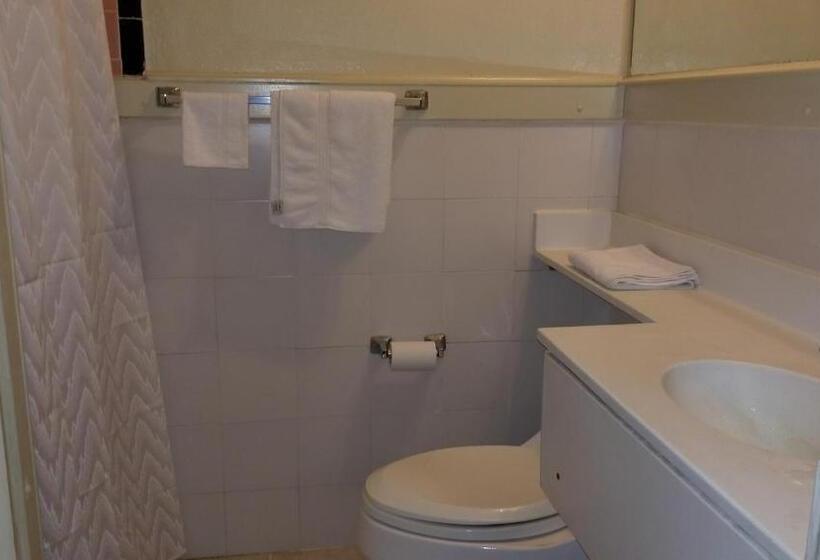 Номер Deluxe Одноместный, Luxury Inn