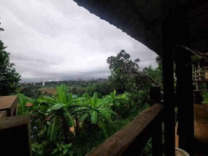 Семейное Бунгало, Tree Lodge Banlung