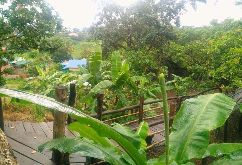 Номер Стандарт, Tree Lodge Banlung