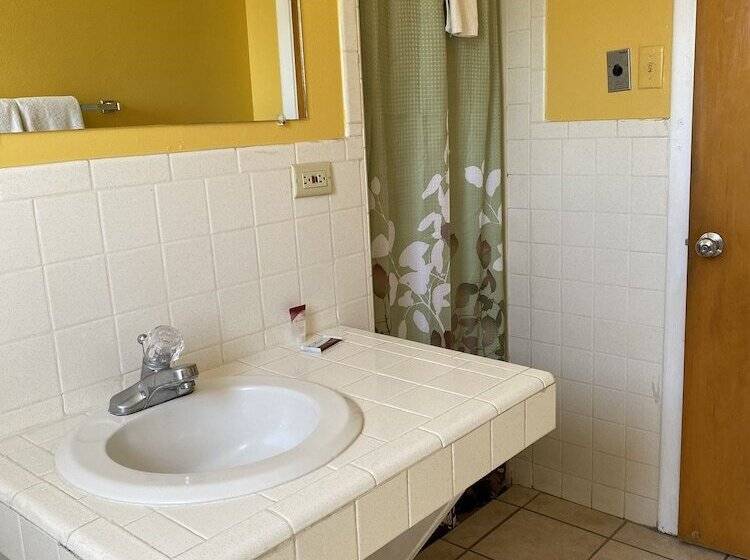 스탠다드 싱글 룸, Western Skies Motel