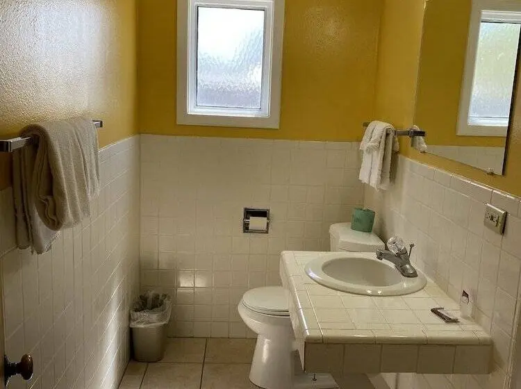 スタンダードシングルルーム, Western Skies Motel