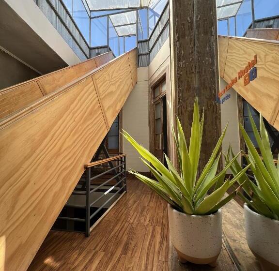 تختخواب در اتاق مشترک, Casa Lastra