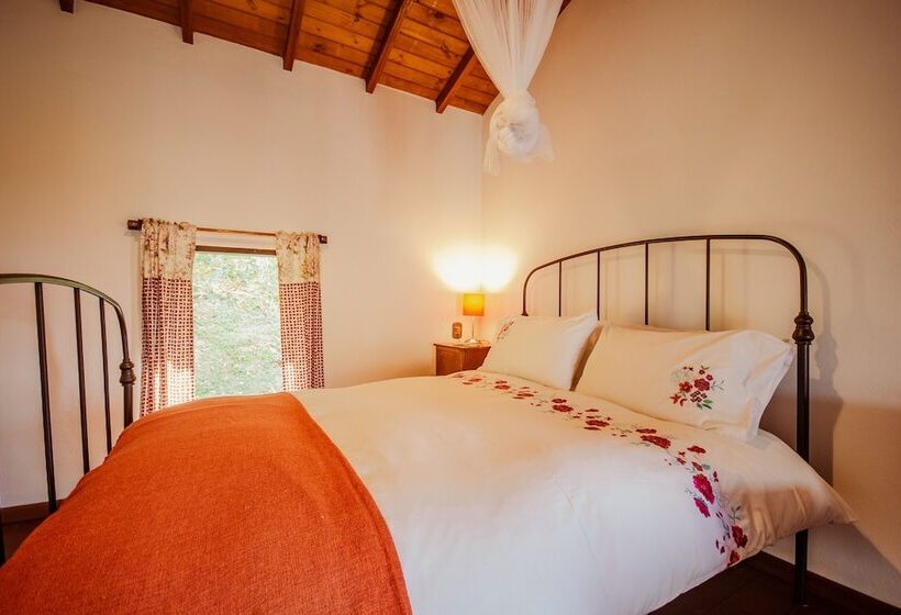 בקתת חדר, Bus Stop Paraty