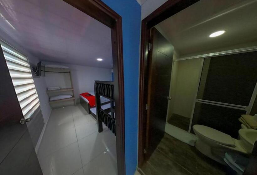 スタンダードスタジオ, Apartamentos Isla Tropical