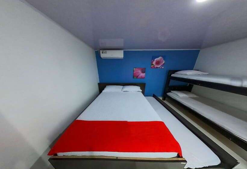 １ベッドルームアパートメント, Apartamentos Isla Tropical