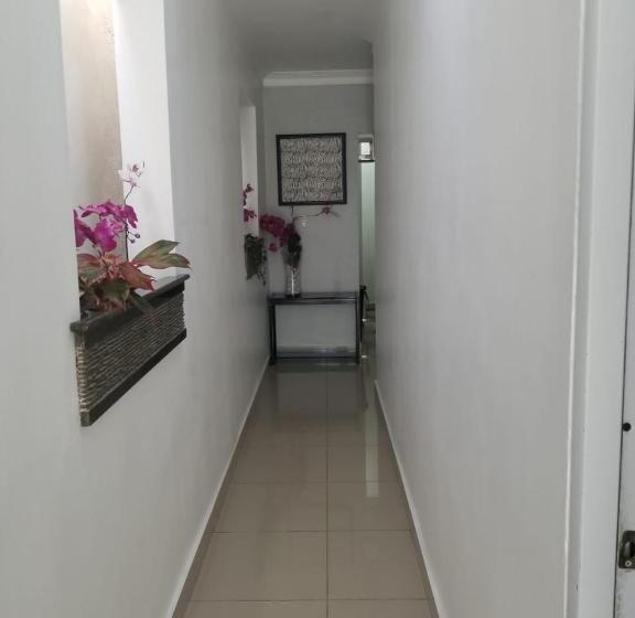 اتاق لوکس, Alegria Hostal