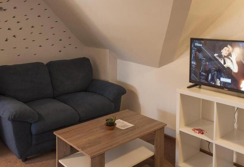 Трехместный Номер Стандарт с Видом, Penzion U Nádraží