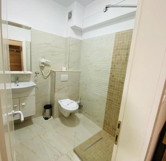 اتاق استاندارد, Pensiunea Elisei