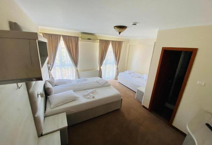 اتاق استاندارد سه نفره, Pensiunea Elisei