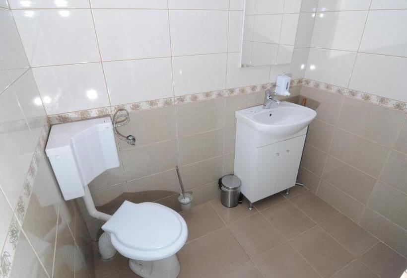 اتاق استاندارد, Pensiunea Elisei