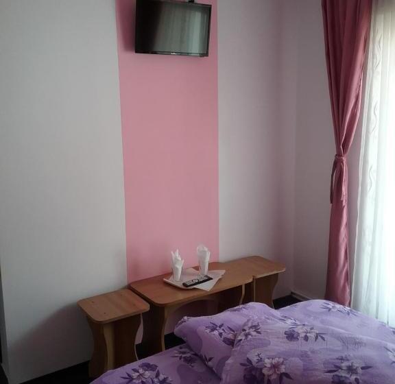 חדר סטנדרט, Pensiune Restaurant Sfinx