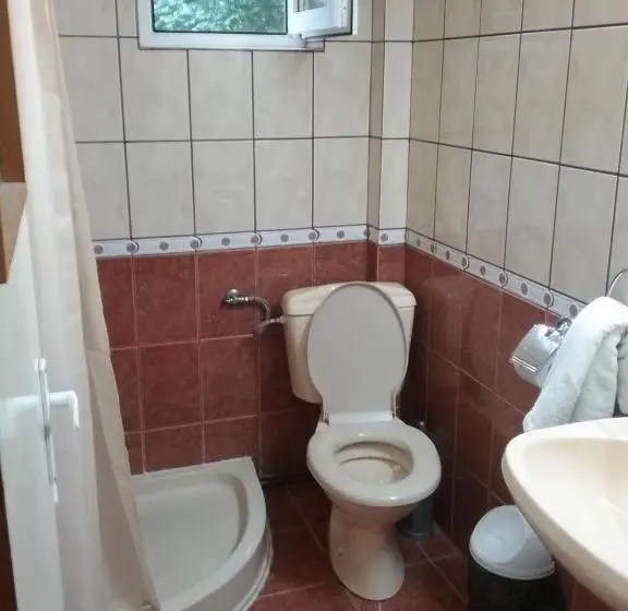 Standard Kolmen Hengen Huone, Pensiune Restaurant Sfinx