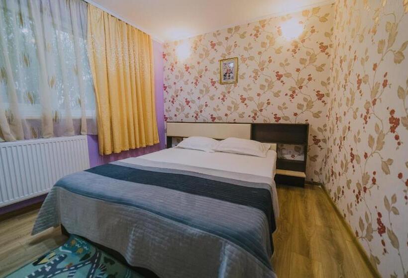 Номер Superior, Hostel Denisa