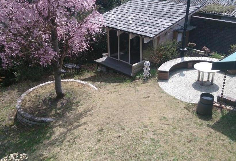 Номер Стандарт Индивидуальный Совместная Ванная, Tajimi Guest House