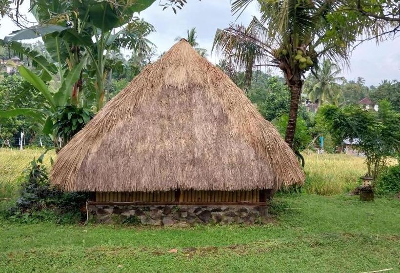 Standard Tent, Uma Nirmala Aling Aling