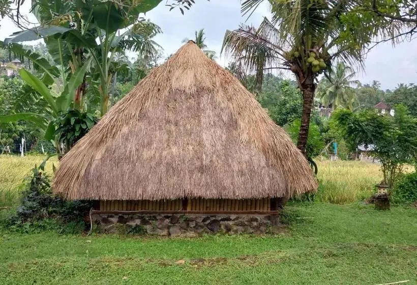 Standard Tent, Uma Nirmala Aling Aling