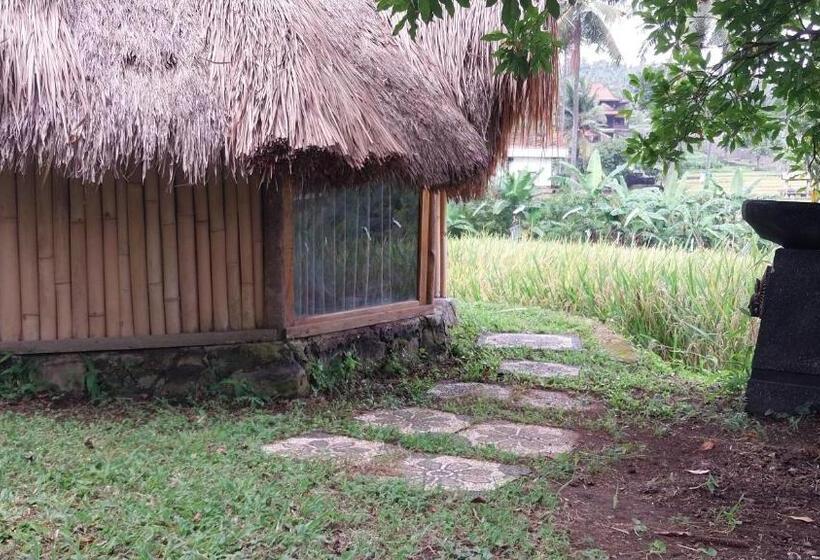 Standard Tent, Uma Nirmala Aling Aling