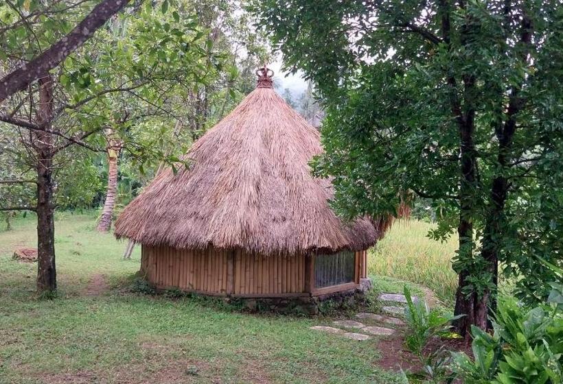 Standard Tent, Uma Nirmala Aling Aling