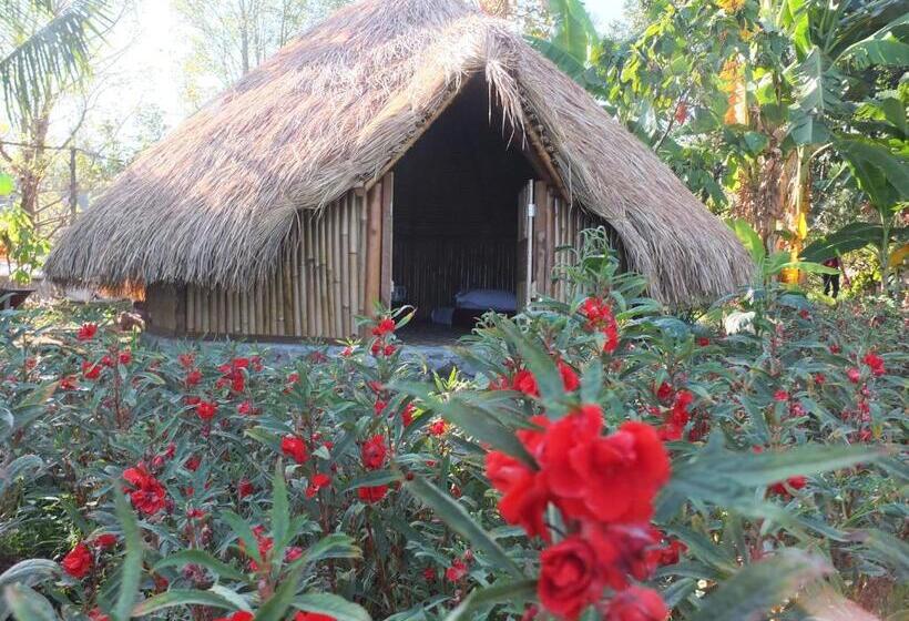 Standard Tent, Uma Nirmala Aling Aling